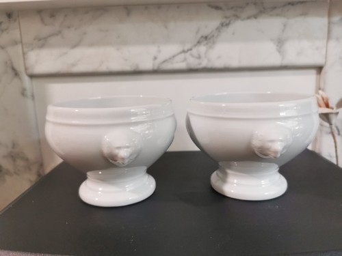 Apilco white porcelain - apilco, lion